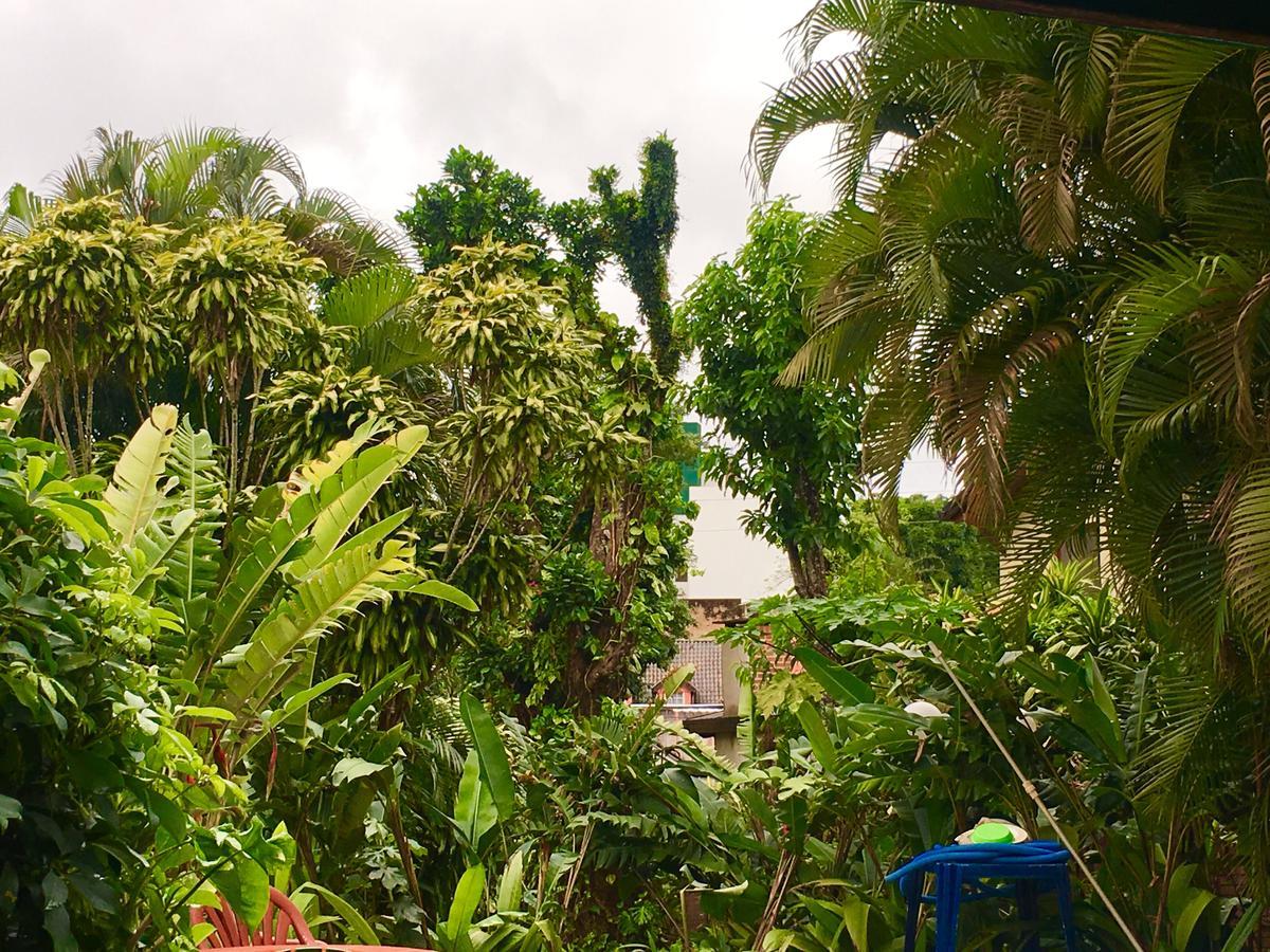 Hostel Garden Stone Puerto Iguazú Exteriér fotografie